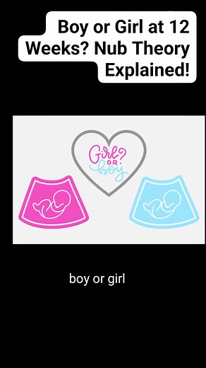 534 reactions · 105 shares | Boy or Girl at 12 Weeks? Nub Theory Explained! #NubTheory #GenderPrediction #BoyOrGirl #PregnancyTips #BabyGenderReveal #UltrasoundGender #12WeekScan #EarlyGenderPrediction #BabyOnTheWay #FirstTrimester #MomToBe #PregnancyJourney #ExpectingBaby #PregnancyAnnouncement #PregnancyHacks #MomLife #Baby2025 #PregnancyVlog #GenderReveal2025 #GuessTheGender #fblifestyle | Radiology Interesting | Facebook