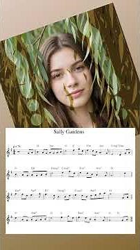 Down by the Salley Gardens played by Dave A Wilkinson