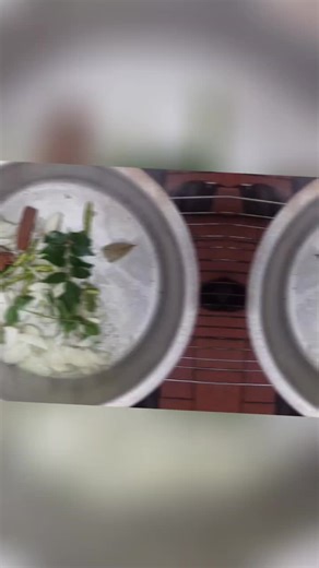 mutton curry bunny chow sunday....fire style...#salutelafamilia #throughdaeyesofatrucker #trukalyf@RichieRich♥️🙏 @☆SUVAN NAIDOO☆ @Two_Slice_Toast @MACKSON @Kitarna Chetty 🌶️💋❤️ @🧊Thivashan Chetty 🧊 @🧊ICEMANENERGY🧊 @Kev_onia @MooSa#Slumdoggs @Bogactwo