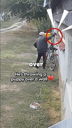 This Puppy Was Thrown Away But Look At Her Now...💔