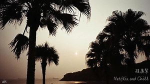 【Playlist】宝岛视听🏝️台湾独立音乐精选合辑｜Indie｜小众独立音乐歌单｜适合一个人晚上在房间独处 放松 休息 阅读 写作时听的疗愈系歌单