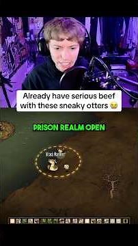 I Have Beef With Otters