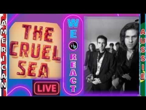 We React to The Cruel Sea - The Honeymoon is Over