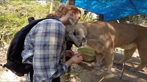 6.2K views · 252 reactions | Crazy Adventures of The Wild Twins | The Wild Twins | Facebook