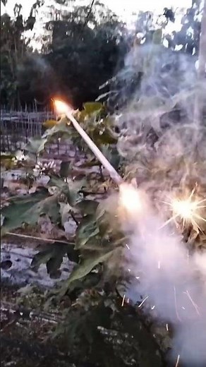 experiment: Test the 🚀roket fireworks #experiment #fireworks #firecracker #usa #eropa #shorts #fyp