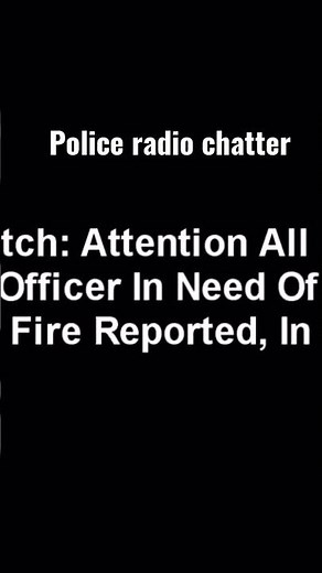 GTA 5 police radio chatter