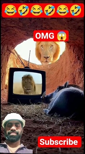 😂 Warthog vs Lion Funny Moments 🦁🐗 #animals#lion #animals #shortsfeed #shorts #comedy #wildlife