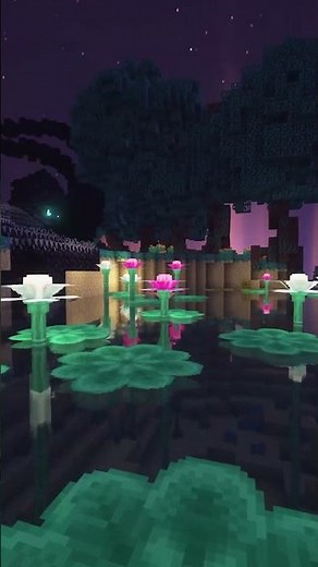 This mod has BEAUTIFUL BIOMES!! | Minecraft modded - BetterEnd