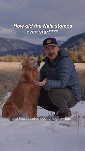 Get rewarded in the @tripadvisor app for planning and booking, just like Nala was rewarded for doing her stomps as a puppy #TripadvisorPartner #ad | adventuringwithnala