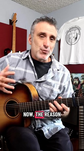 Which song is harder to play? Big love or never going back again? #guitarlesson #fingerstyleguitar #fleetwoodmac | Anthony Parker and the Near Life Experience