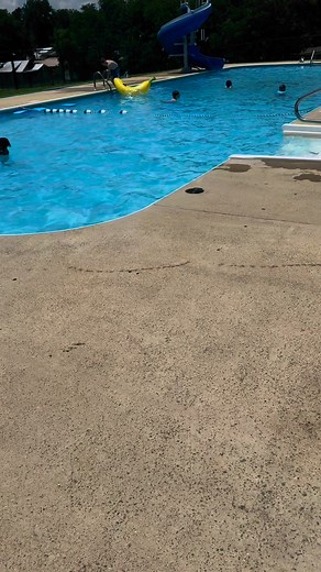 Caroline & Eli had a ball swimming today!! Thankyou Jennifer Stromblad for not gatekeeping!! Had no idea this little pool was in jasper! | Briana Ward