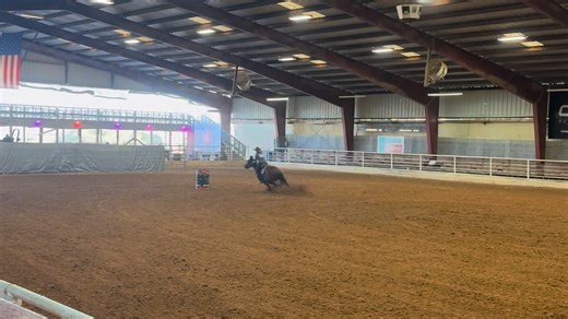 3.3K views · 206 reactions | I think it’s safe to say my silly boy...