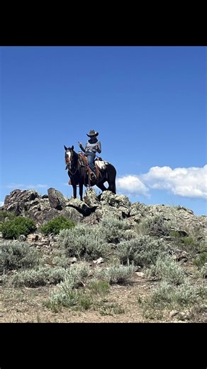 I miss my angry little appy poney who only like me lol