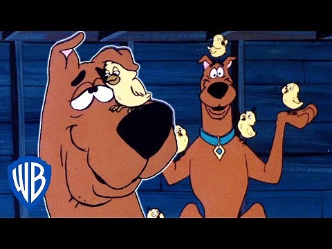 Scooby-Doo! | Scooby & The Baby Chick | WB Kids