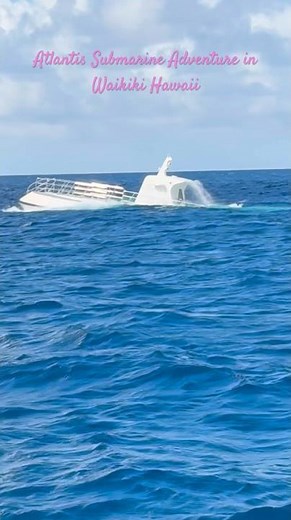 Atlantis Submarine Adventure in Waikiki#hawaii #atlantis #waikikihawaii