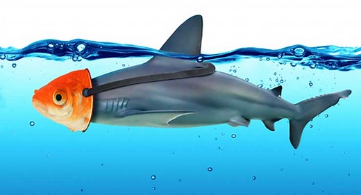 How to Tell if You’ve Received a Genuine Publishing Offer