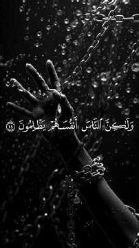 تلاوة هادئة - أَفَأَنْتَ تَهْدِي الْعُمْيَ | القارئ محمد بيدروف | Mohammed Bedrouf