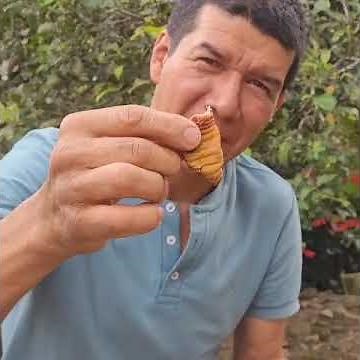 Mojojoy worm tasted by Tavo. #food #cooking #exoticfood #worm #mojojoy