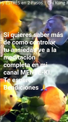 10-Minute Meditation: Eliminate Anxiety and Stress in 2 Steps