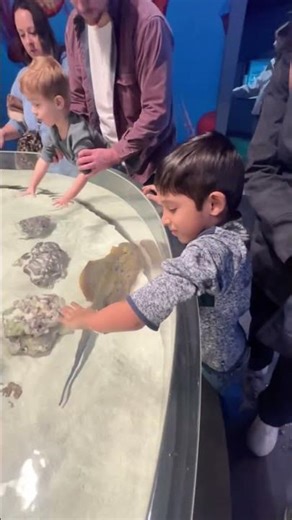 Mystic Aquarium Connecticut | CT largest aquarium | worth visiting