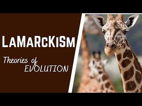 Evolution-Theories of evolution| Lamarckism| Lamarck's Theory of inheritance of acquired characters