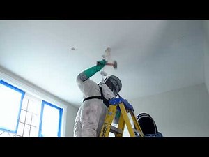 live bee removal from a ceiling