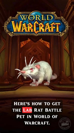 Here's how to get the Lab Rat Battle Pet in World of Warcraft. #Warcraft #worldofwarcraft #midnight #TheWarWithin #Wow | Postcards from Azeroth