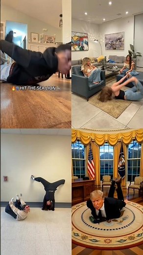 everybody hit it with me,hit the sea lion 🦭 #tiktok #dance #trending