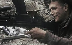 bf5官方介绍（這就是戰地風雲5）