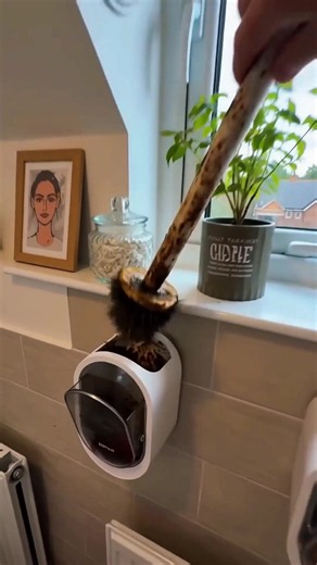 Disposable toilet brush set with head , #toiletcleaning #toiletbrush #disposable