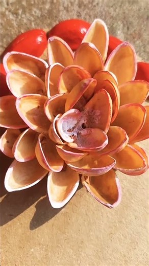 pista chopa design ❤️#viral