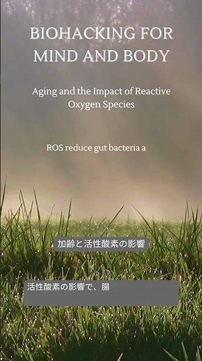 Aging and the Impact of Reactive Oxygen Species #Aging #ReactiveOxygenSpecies #GutHealth