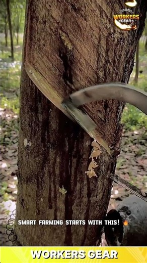 Smart Rubber Tree Tapping Technique Using Precision Blade Control for Maximum Latex Flow