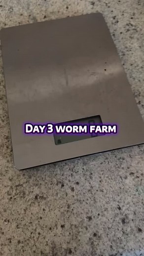 Worm farm progress #vermiculture #wormfarm #compost #garden | Casey Barling | Facebook