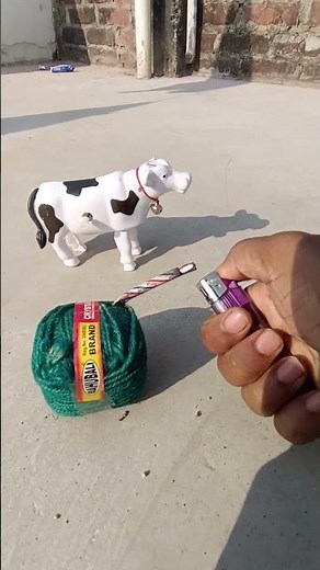 Rc cow toy testing