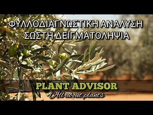 Foliar analysis for Olive Trees!! Correct sampling‼️Plant Advisor