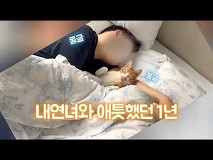 I lost my husband to a cat... A binge-watch of a year's worth of their affectionate antics #CatAd...