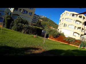 WLtoys V262 flight with mobius camera