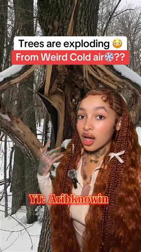 𝐀𝐫𝐢 𝐃𝐚 𝐇𝐞𝐚𝐥𝐞𝐫 🪶 on Instagram: "da TREES are EXPLODING 😡?… #winter #news #crazy #reels"