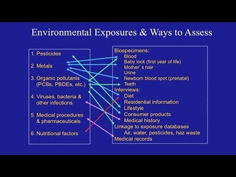 What Causes Autism?: The Role of Environmental Exposures