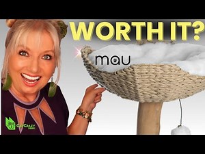 The BEST Modern Cat Tree For Your Home? Our Honest Review