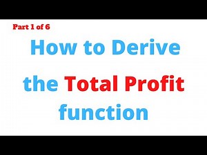 Derive the Total Profit function