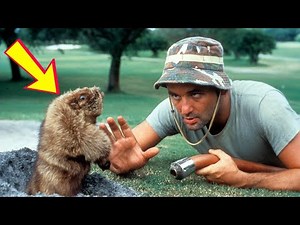 Top 14 Most Shocking Facts About Caddyshack 1980
