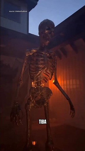This Giant Skeleton Is Being Turned Into a Halloween Decoration! 💀🎃
