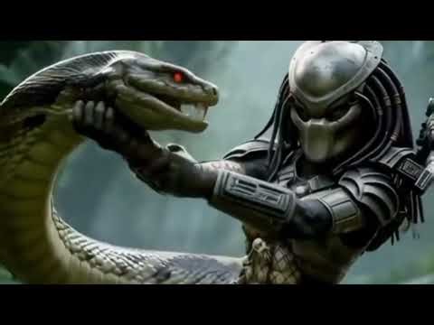 SURVIVAL OF THE FITTEST