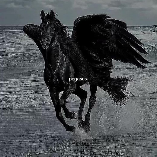 #GREEKMYTHOLOGY In Greek mythology, Pegasus is a famous winged horse known for his connection to the sky, the gods, and heroic stories. He is one of the most recognizable mythical creatures and often symbolizes freedom, speed, and something beyond the ordinary world. Pegasus has a very unusual origin. According to the myth, he was born from the blood of Medusa at the moment she was killed by the hero Perseus. When Perseus cut off Medusa’s head, Pegasus suddenly emerged, already a fully formed cr