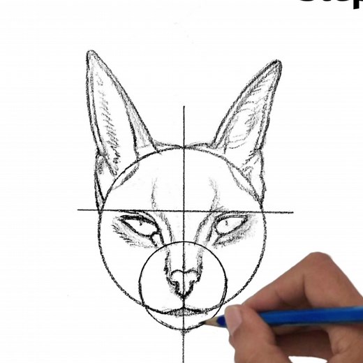 How to Draw a Caracal Cat's Head from Various Angles ... | DRAWING PENCIL