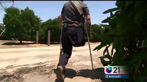 387K views · 7.9K reactions | La historia que se ha ganado la admiración de miles de personas. Aquí pueden ver el reportaje de Pablo, el campesino del valle que solo tiene una pierna, pero que no deja de trabajar. | Noticias Univision 21 Fresno | Facebook