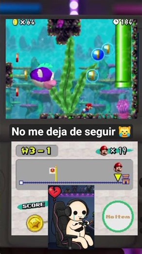No me deja de seguir 🐱 #mariobros #nds