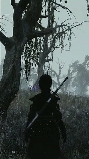 Clouds, Snow & Nightfall | Modded Skyrim in Motion